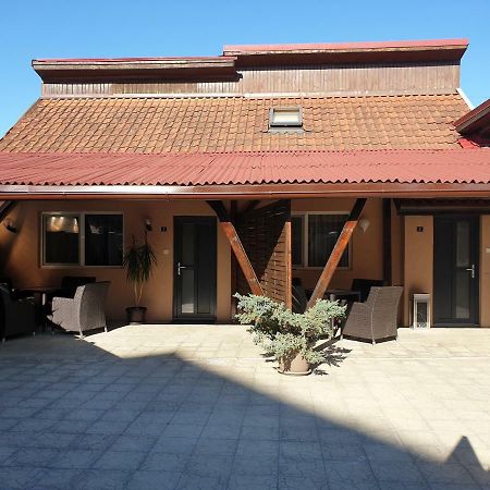Irina Apartments Timisoara Bagian luar foto