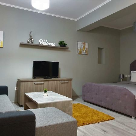 Irina Apartments Timisoara Bagian luar foto