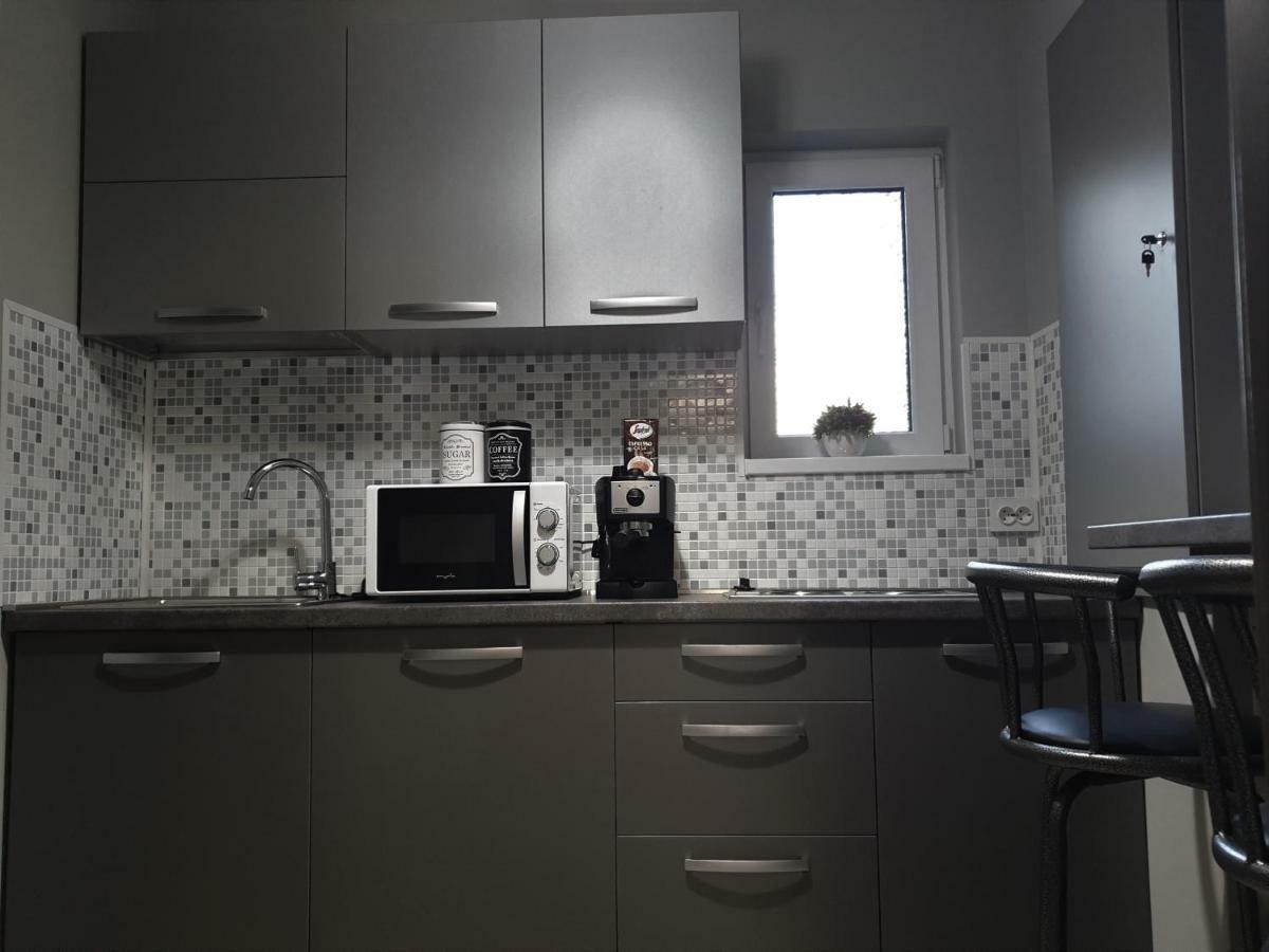 Irina Apartments Timisoara Bagian luar foto