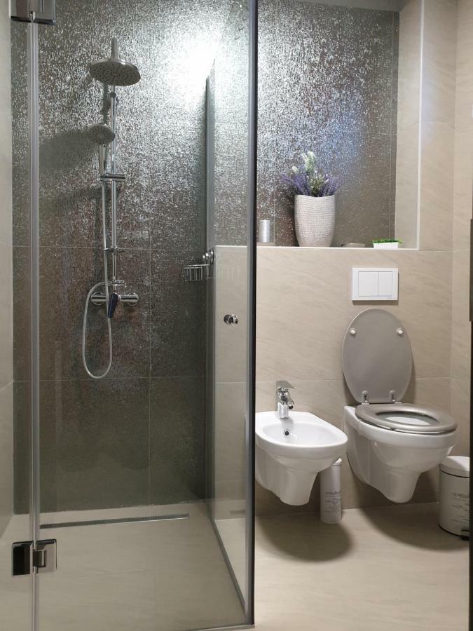 Irina Apartments Timisoara Bagian luar foto
