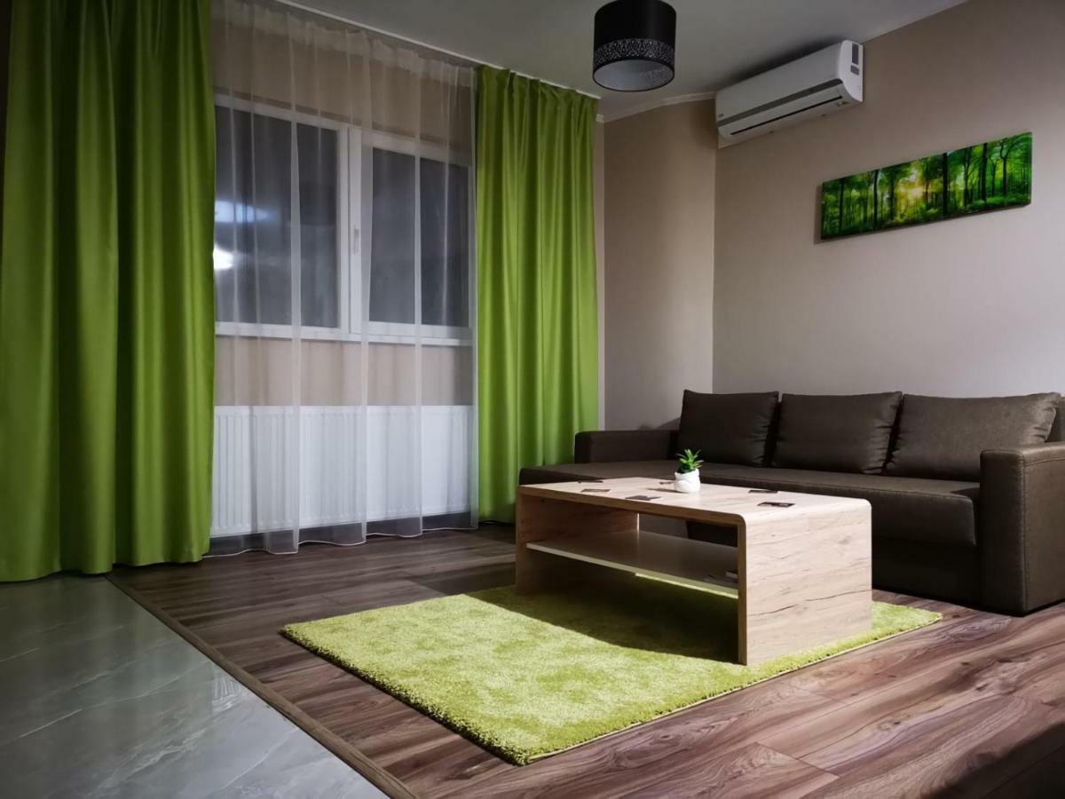 Irina Apartments Timisoara Bagian luar foto