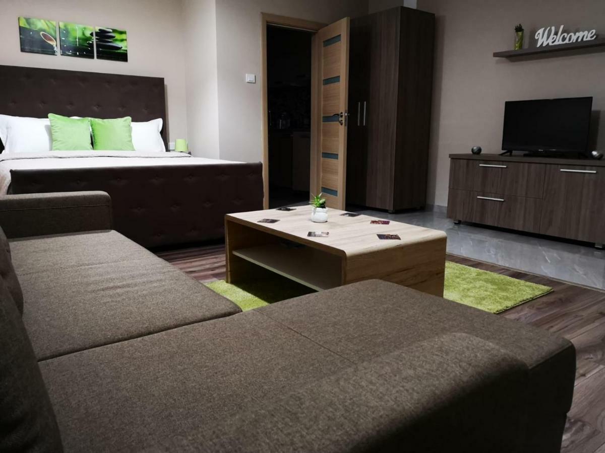 Irina Apartments Timisoara Bagian luar foto